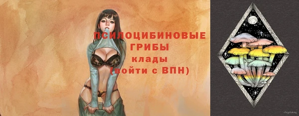герыч Арсеньев
