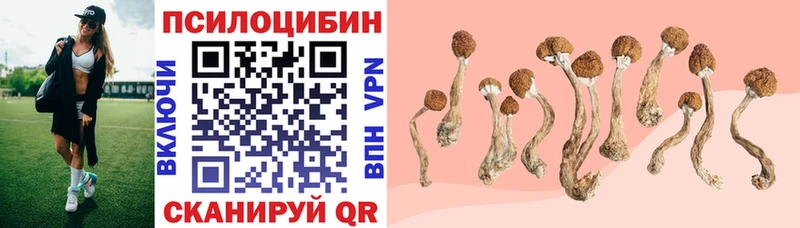 даркнет сайт  Оха  Галлюциногенные грибы мицелий 